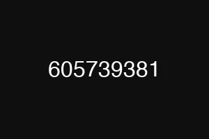 605739381