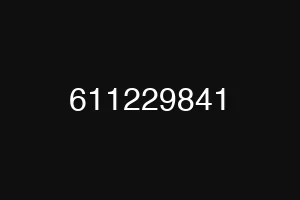 611229841