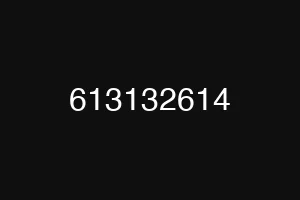 613132614