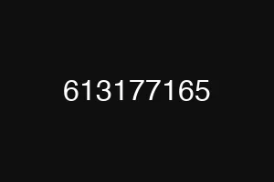 613177165