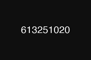 613251020