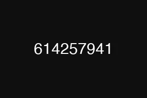 614257941