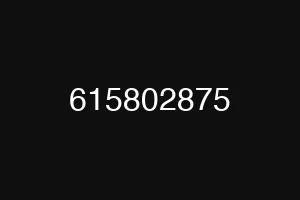 615802875