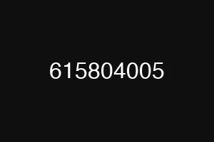 615804005