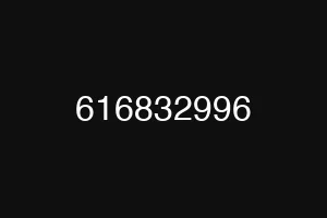 616832996