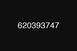 620393747