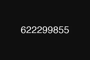 622299855
