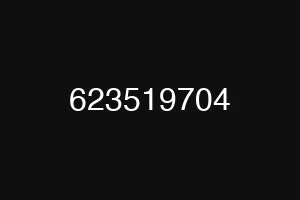 623519704
