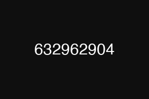 632962904
