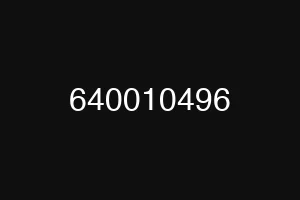 640010496