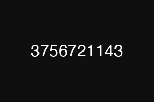 3756721143