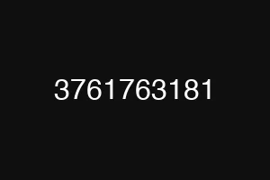 3761763181