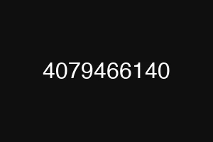 4079466140