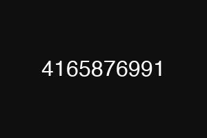 4165876991