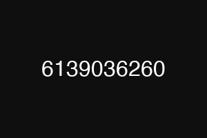 6139036260