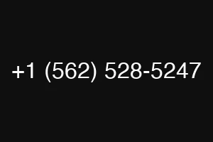 +1 (562) 528-5247