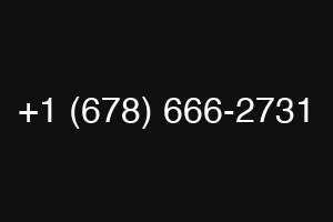 +1 (678) 666-2731