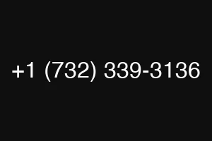 +1 (732) 339-3136