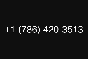 +1 (786) 420-3513