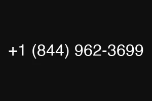 +1 (844) 962-3699