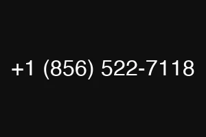 +1 (856) 522-7118