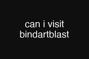 can i visit bindartblast