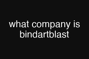 what company is bindartblast