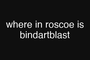where in roscoe is bindartblast